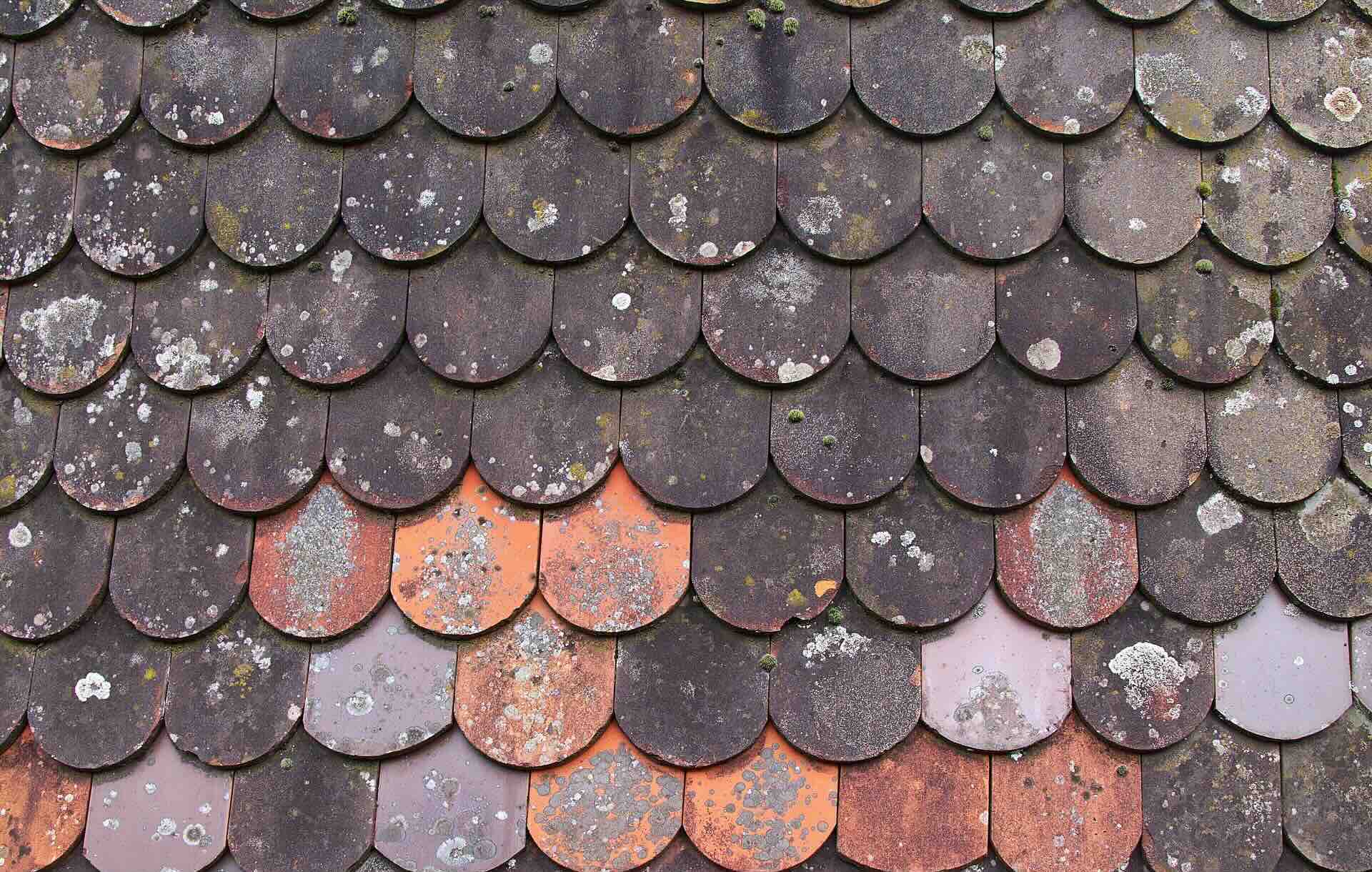 Damaged roof tiles - FAS Exteriors